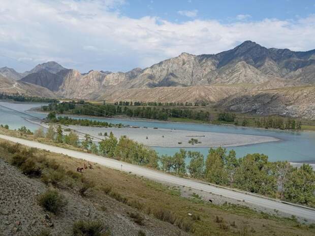 «Ничем не хуже Швейцарии»: омичи поделились своими впечатлениями об Алтае