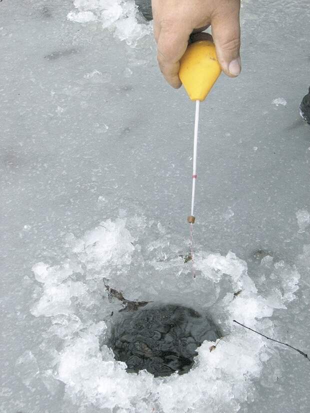 Кивок из лавсана не боится мороза и ветра.