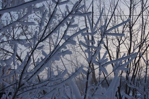 Суровая зима на подходе: до -38 градусов похолодает к концу недели