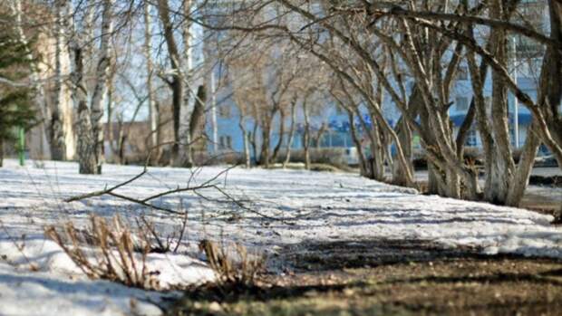 Зимняя весна с дождями. Какая погода будет на Алтае в феврале и начале марта