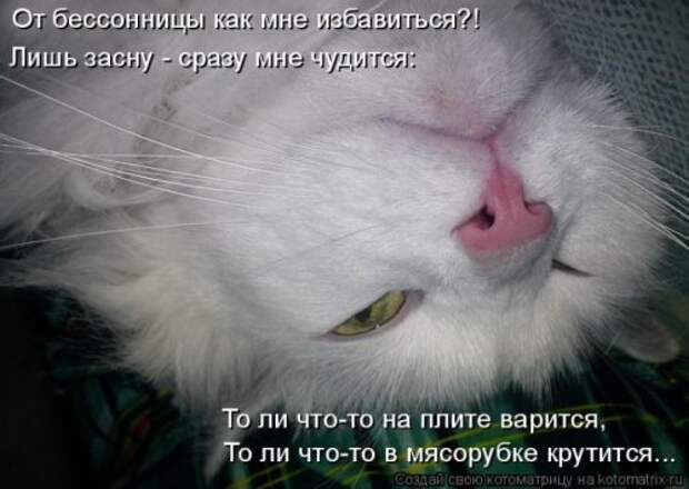 Лучшие котоматрицы недели