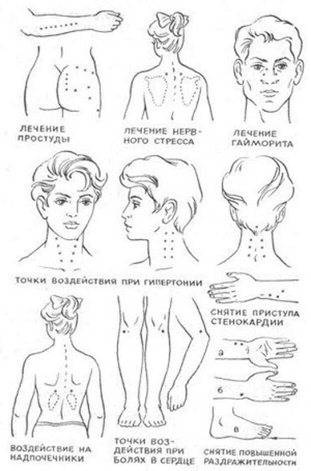 точки на теле и их предназначение