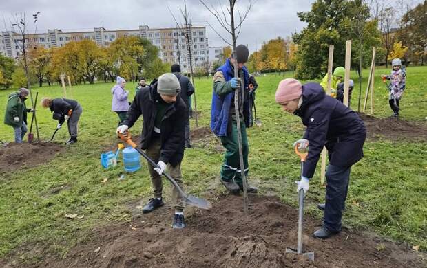 Более 300 деревьев и кустарников высадят в Петербурге в этом году