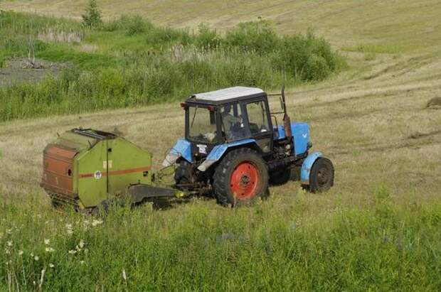 Аграрии Ленобласти получат 740 млн рублей на семена, удобрения и ГСМ