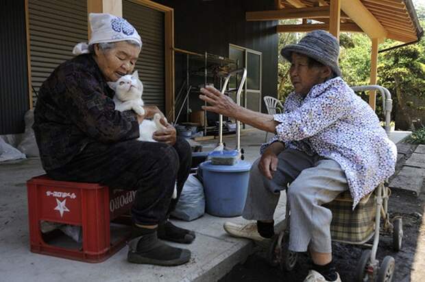 Японская бабушка Миса и её кот Фукумара