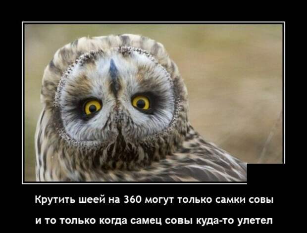 Демотиваторы 10 января 2021 года