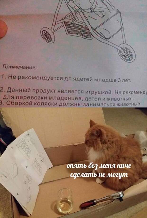 Смешные картинки 23 апреля 2021