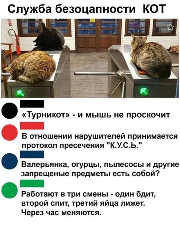 4-10.jpg