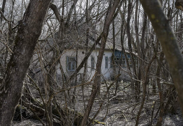 Заброшенное село Залесье вблизи Чернобыльской АЭС в Украине
