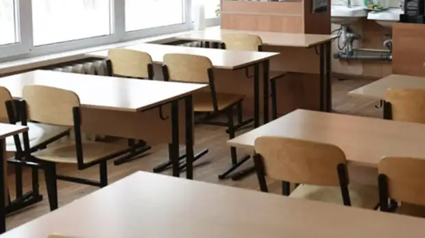 Педагог Голота рассказала об обучении сирийских школьников русскому языку в пандемию