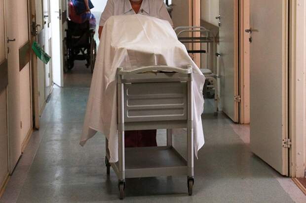 На УЗИ был мальчик, родилась девочка: сибирячка добилась следственной проверки