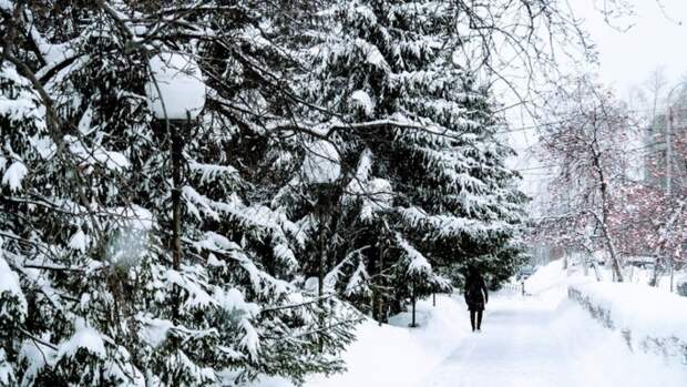 До -12. О погоде в Барнауле 21 января