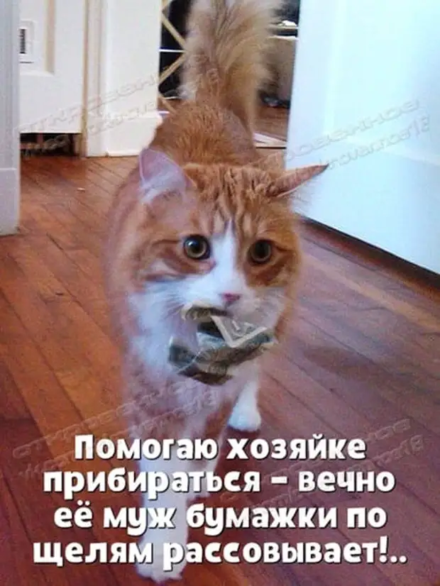 Некоторые блондинки попадают под диагноз 
