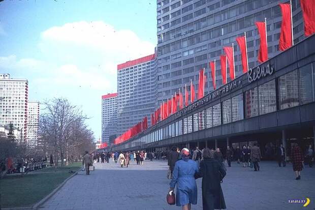 СССР 1982 СССР 1982