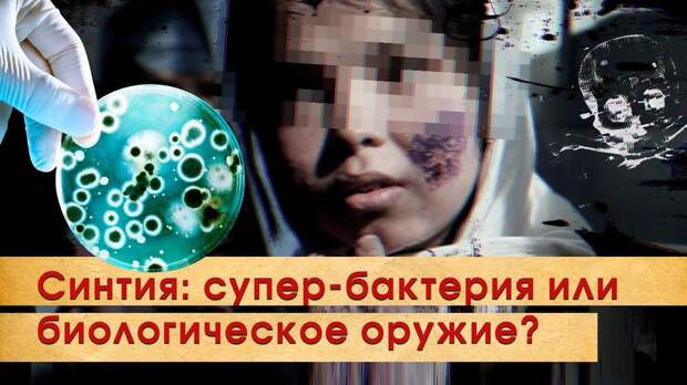 Выведенная американцами бактерия "Синтия" могла быть прародительницей COVID19