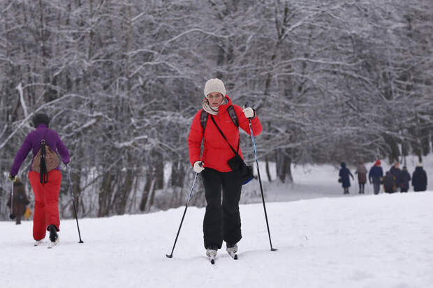 Раскрыт мощнейший стимулятор мозговой деятельности