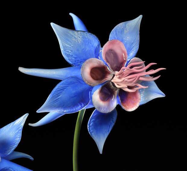 Цветы из стекла или удивительный мир Джейсона Гамрата
