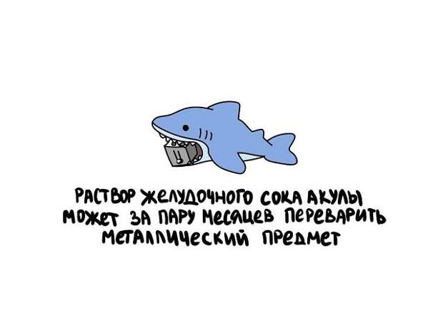 Любопытные коротенькие факты на все случаи жизни
