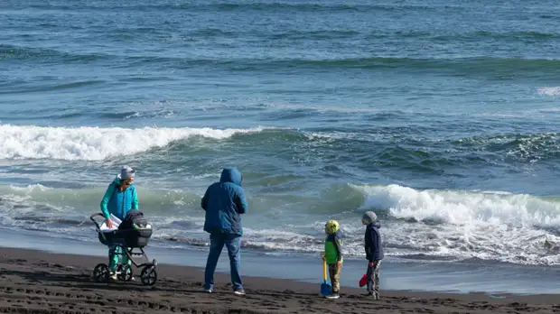 Генпрокуратура рассказала о ходе проверки ситуации на Камчатке