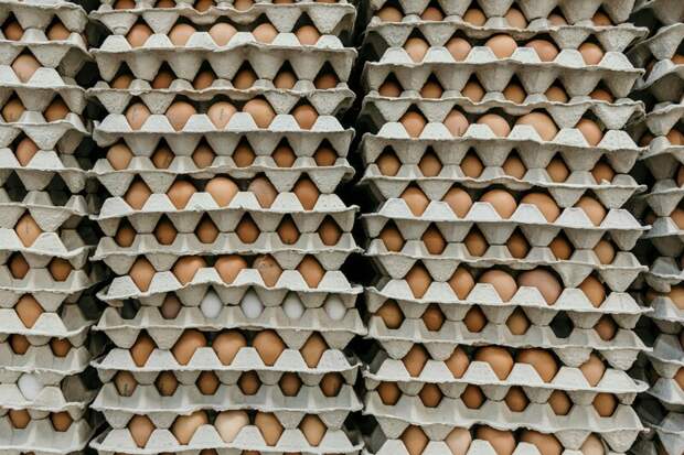 В Россию из Азербайджана за неделю ввезли 3,6 млн яиц