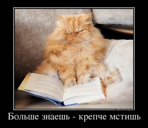 Новый сборник демотиваторов (12 шт)