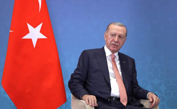 "Давайте возобновим коридор": Эрдоган обсуждает новую зерновую сделку с Путиным и Зеленским