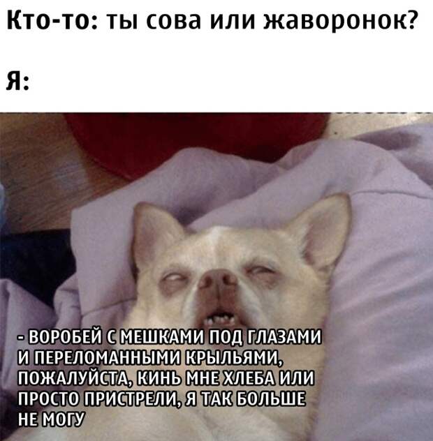 Смешные фото вечер 20 августа 2020