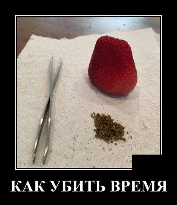 demotivatory-demotivator-smeshnye-demotivatory-demotivator-so-smyslom