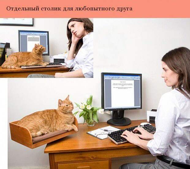 Дизайнерские штуки для котеек дизайн, котэ