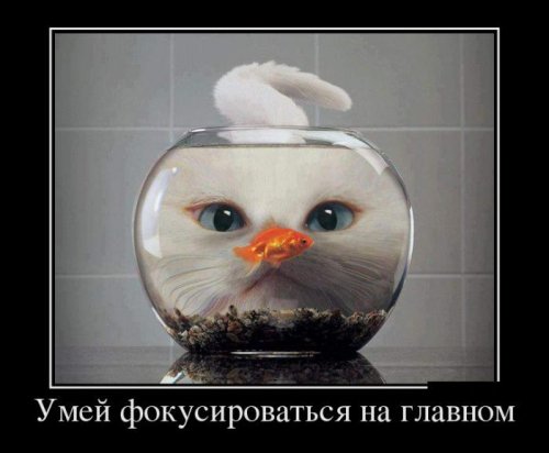 Демотиваторы (35 шт)