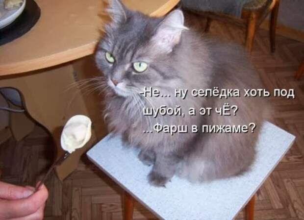 9406848cc3ebb98ea6657b44da6_prev