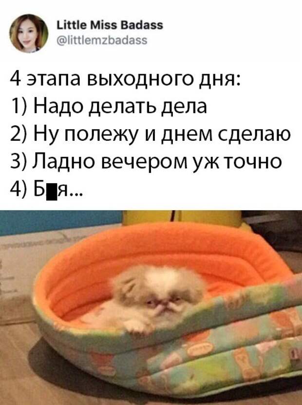 Подборка картинок. Субботний выпуск (30 фото)