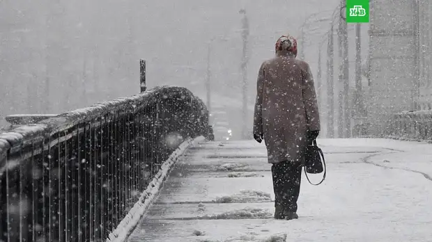 До 10 сантиметров снега выпадет в начале следующей недели в Москве