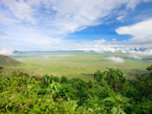 Клуб путешествий Павла Аксенова. Танзания. Ngorongoro crater area in Tanzania. Фото shalamov - Depositphotos