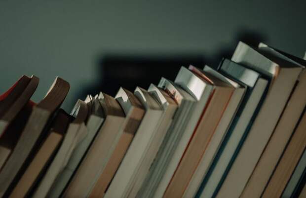 Посольство РФ в Вене представило книгу «От Сталинграда до Вены»