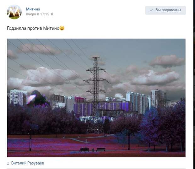 Фото дня: Годзилла в Митине