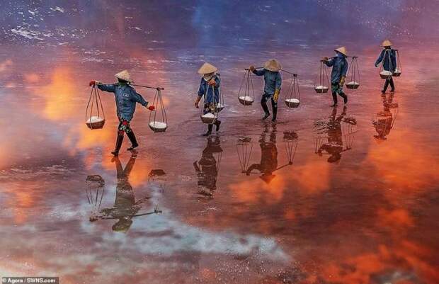 Водный мир: лучшие фотографии