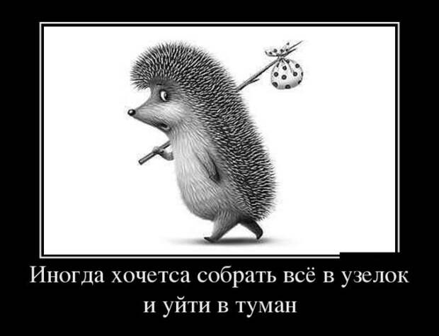 Демотиваторы отличной подборочкой для хорошего настроения