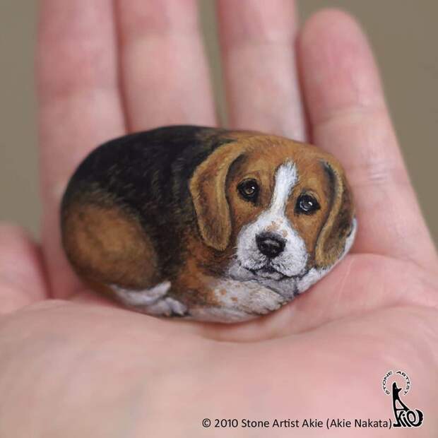 Блог - Японка превращает камни в реалистичных животных Японка превращает камни в реалистичных животных