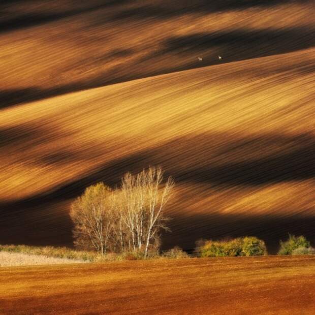 Красивая природа