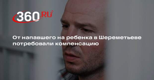 От напавшего на ребенка в Шереметьеве потребовали компенсацию