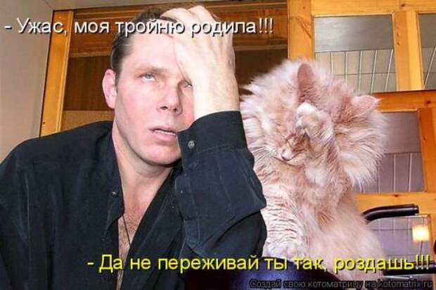 Котоматрицы (картинки с надписями)