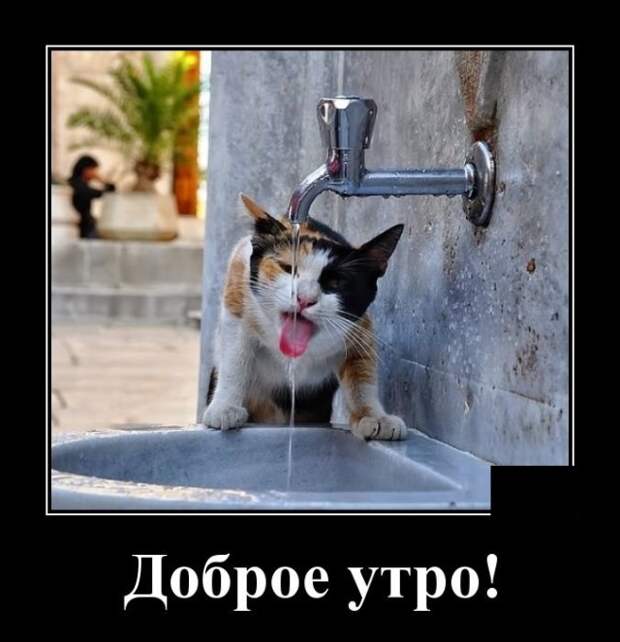 Демотиваторы (20 фото)