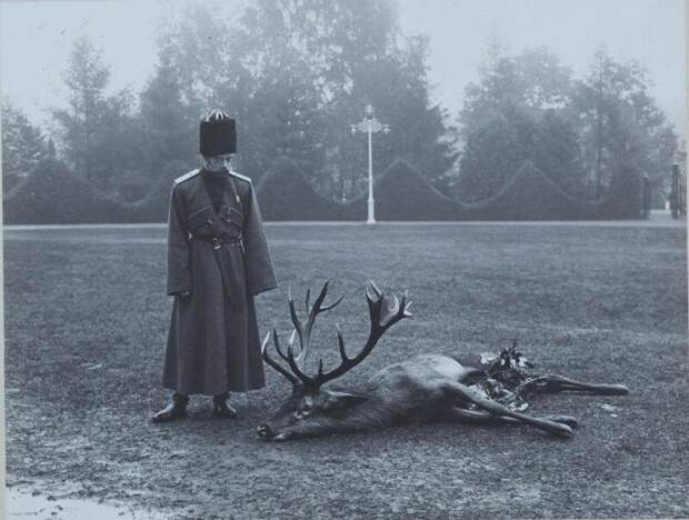 Император Николай II около убитого оленя. Российская империя. Сентябрь 1912 года. история, ретро, фото