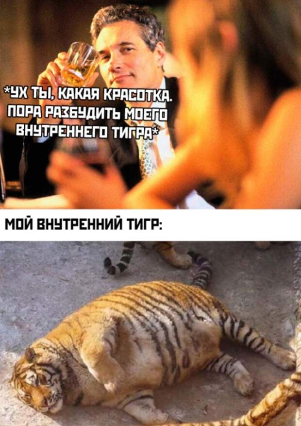 Подборка картинок. Вечерний выпуск (23 фото)