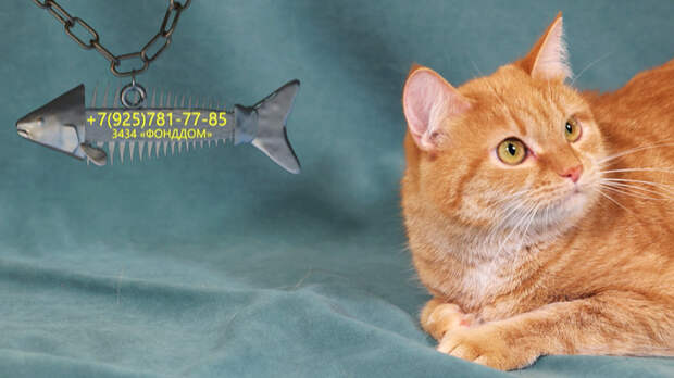 Ласковая Редянка