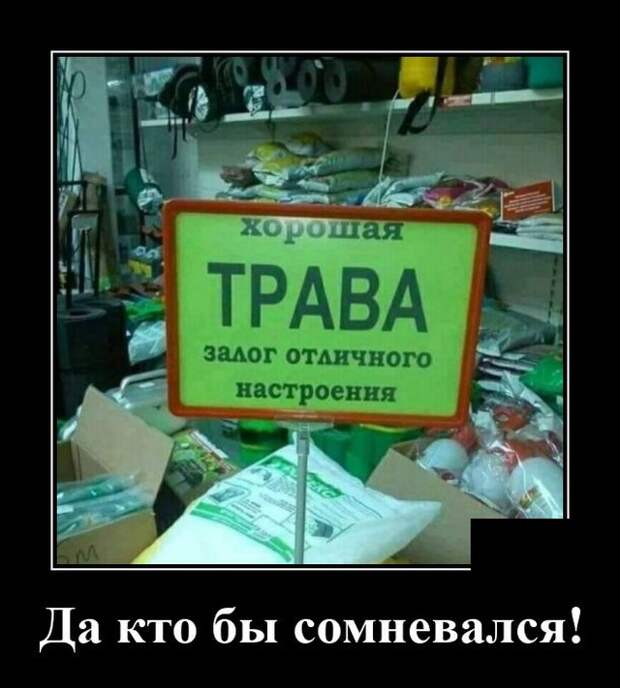 Демотиватор про траву