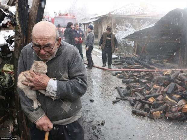 Человек, который потерял в пожаре все, кроме доброго сердца ynews, доброта спасет мир, котенок, огонь, погорельцы, пожар, трагедия, турция
