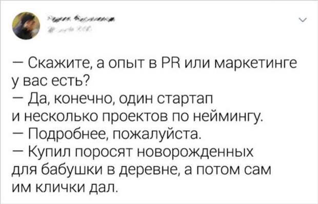15 бесстрашных людей, которые умеют невозмутимо выпутаться из любой истории