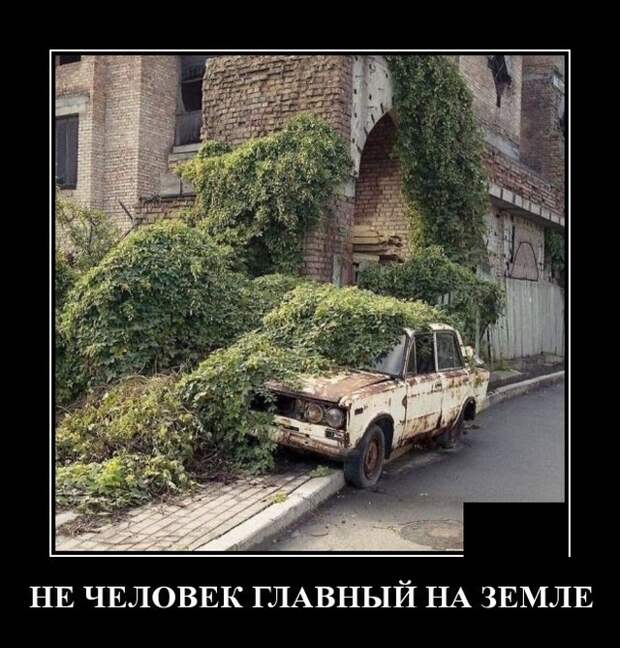 Демотиваторы (20 фото)